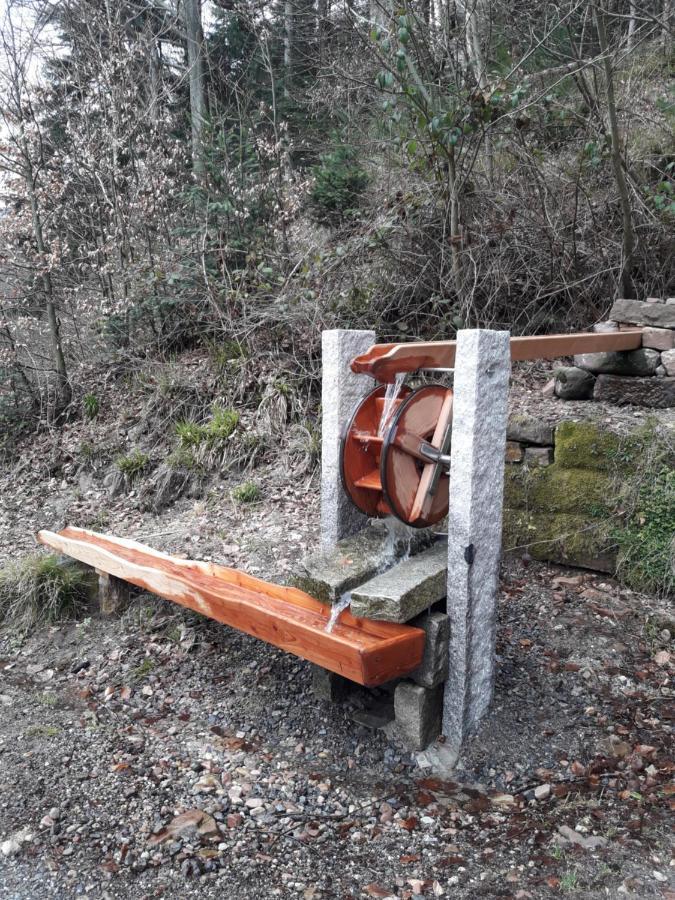 Ferienwohnung Am Wald Bad Herrenalb Exterior foto