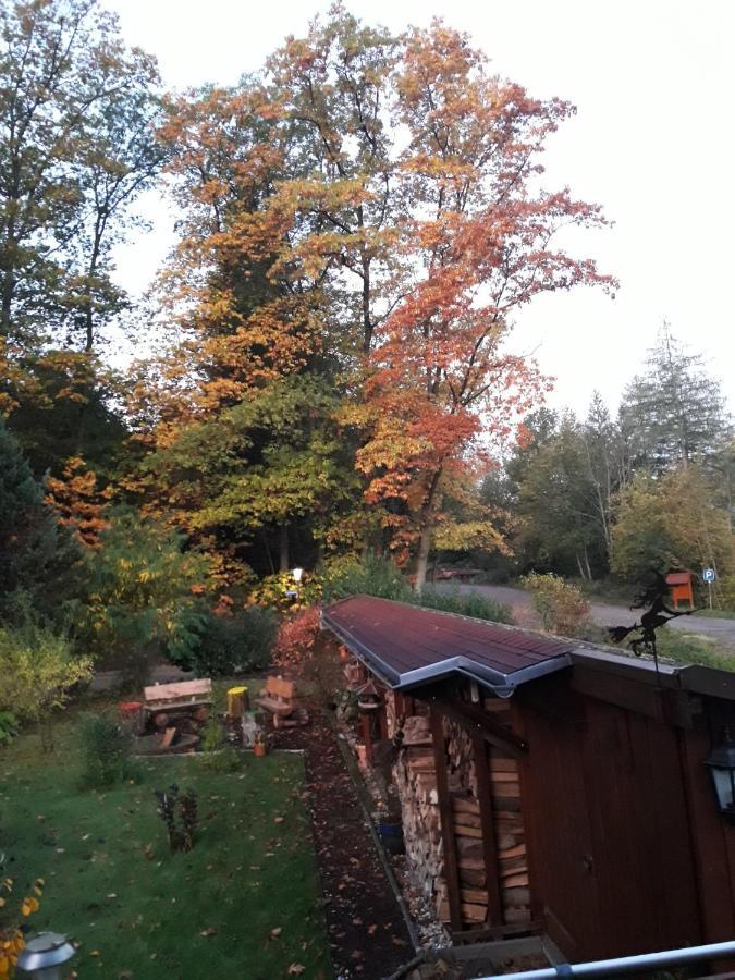 Ferienwohnung Am Wald Bad Herrenalb Exterior foto